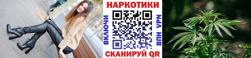 Купить закладку А ПВП  Меф  Псилоцибиновые грибы  БУТИРАТ  ГАШИШ  Бошки Шишки  Щёкино