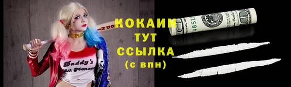 дживик Каменногорск