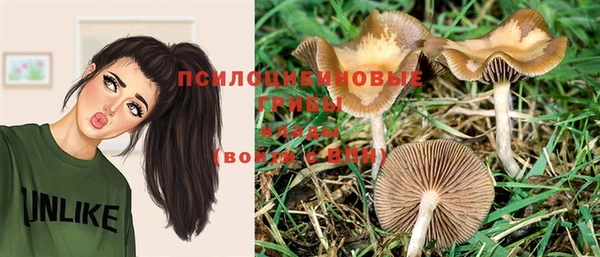 дживик Каменногорск