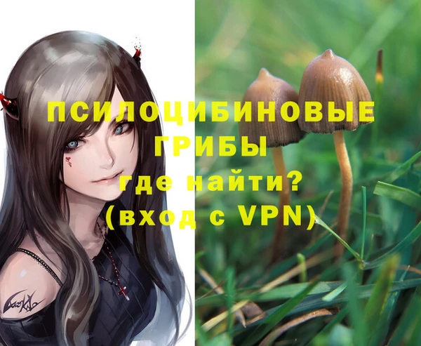 дживик Каменногорск