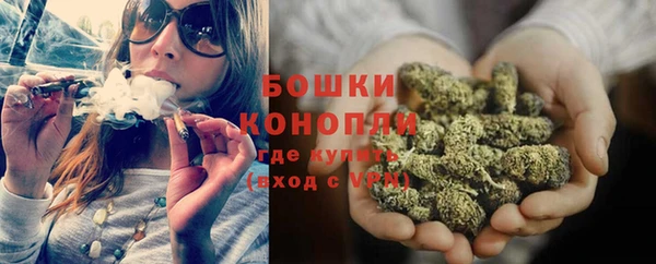 дживик Каменногорск