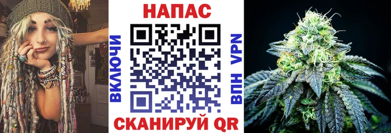 Купить закладки  Щёкино  Конопля MAZAR 